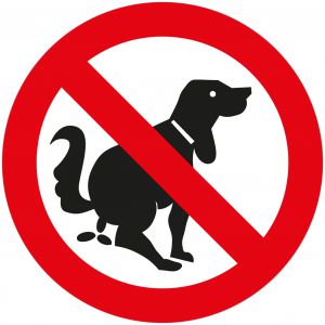 Hier kein Hundekloo