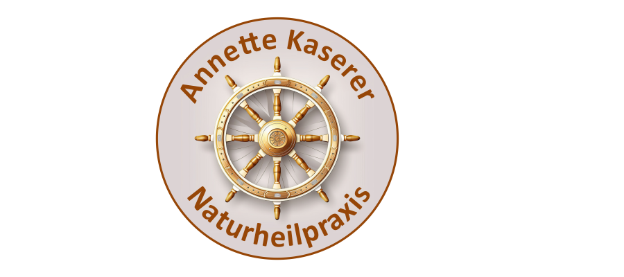Aura Chirurgie Bioresonanz Heilpraktikerin Annette