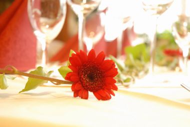 Wir suchen immer fleissige und zuverlässige Servic